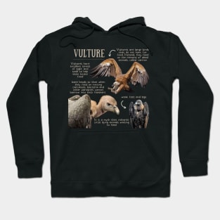 Animal Facts - Vulture Hoodie